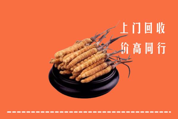 高价求购：鄂尔多斯东胜区回收散虫草