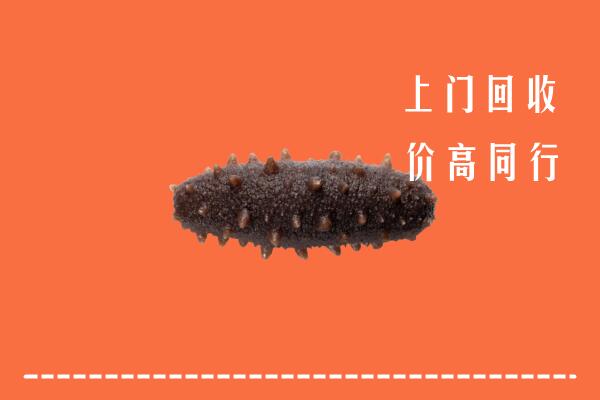 高价求购：鄂尔多斯东胜区回收海参