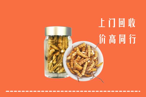 鄂尔多斯东胜区回收冬虫夏草